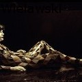Andrew Wielawski - Herlequin - Sculpture