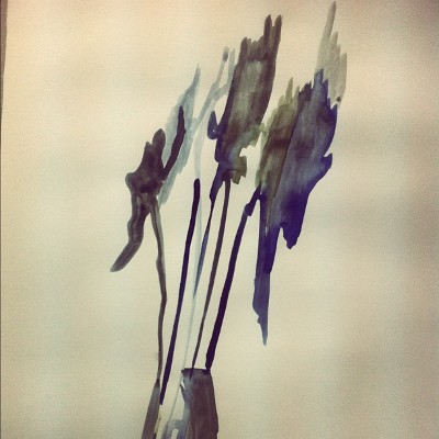 Shadows
